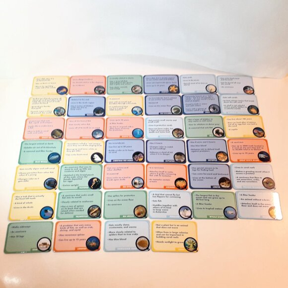 THE YOUNG SCIENTISTS CLUB - OCEANS ANIMAL GAMES - Picture 14 of 16